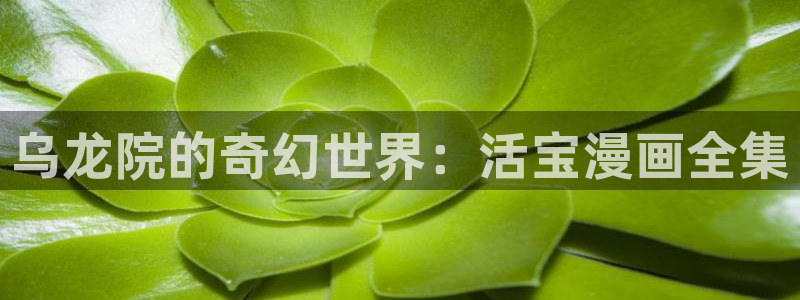 拷贝漫画网页版本入口